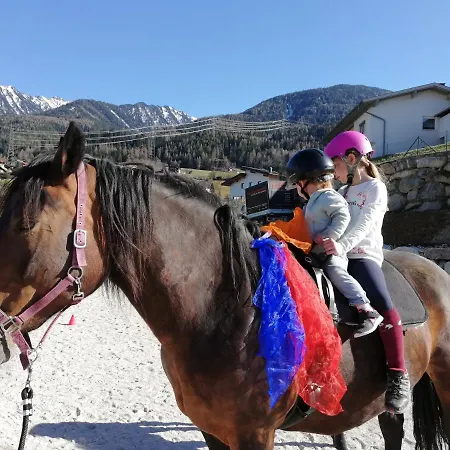 Geiger Apartament Arzl im Pitztal